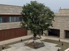 -盘龙城遗址博物院