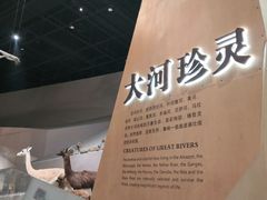 -长江文明馆