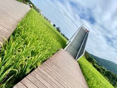 -艾米稻香小镇