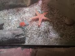 -沈阳海洋探索中心