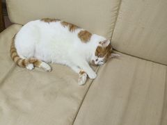 -惠康宠物医院(华能路店)