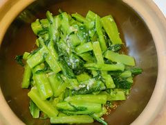 清炒笋尖-合兴居烤鸭店