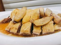 隔水蒸鸡-至潮餐厅精致粤菜·活鲈鱼·走地鸡(珠江新城店)