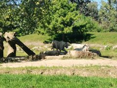 -北京野生动物园