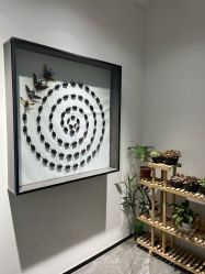 -酷嗒动物文化乐园(cutezoo西溪乐天城店)