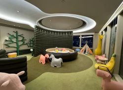 -巍阁高端月子会所