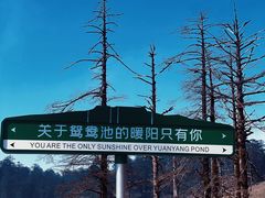-瓦屋山景区