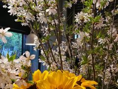 -PlantsEatery·植物食堂(REX春熙店)