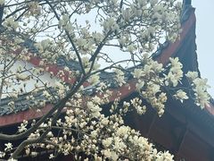 -堤角公园