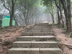 -梧桐山风景名胜区