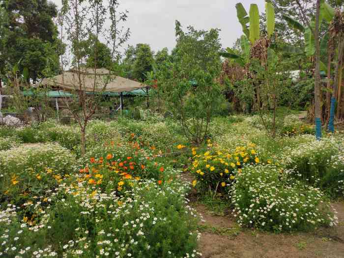 伊亚花园海鲜烧烤这家前后去了两次整体感觉还可以上次吃柴火鸡味道不