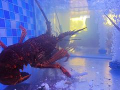 -映像威海·威海宴(威高广场店)