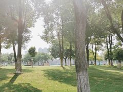 -眉山湿地公园(东坡区)