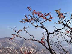-北京凤凰岭