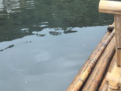 -上坦村