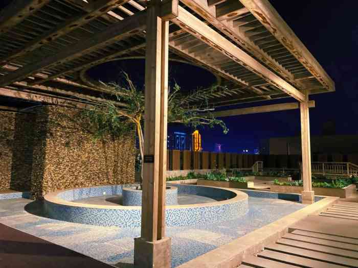 丽都温泉酒店-"环境,卫生都挺好的,搓澡,也很干净,,晚.