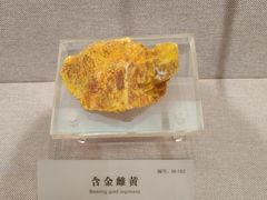 -湖南省地质博物馆