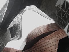 -东浩兰生上海世博展览馆