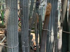 -北京植物园南门售票处