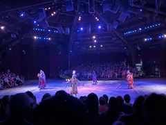 -奥兰多迪士尼动物王国乐园