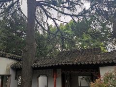 -秋霞圃