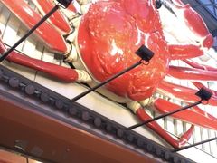 -蟹道乐(道顿堀本店)