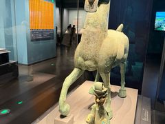 -广西壮族自治区博物馆