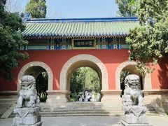-灵谷景区
