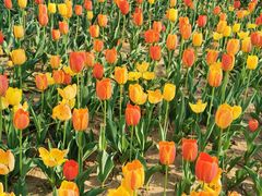 -廊坊文化艺术中心