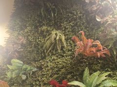 -味之绝热血美蛙鱼火锅(中坝店)