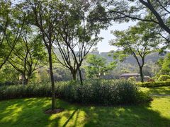 -顺峰山公园