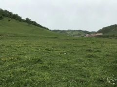 -关山草原