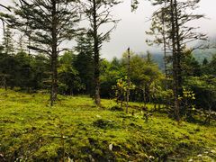 -硗碛藏寨·神木垒景区