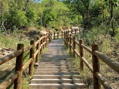 -白水寺森林公园