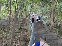 -紫金山山顶公园