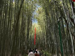 -竹泉村旅游度假区