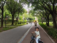 -顺峰山公园