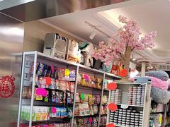 -北京观赏动物医院·24小时大型综合·猫专科·异宠专科