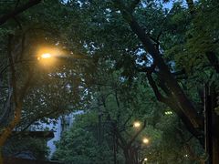 -文武王氏烧饼·无矾油条(西溪路店)