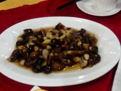 雲南鮮黑雞樅菌&nbsp;55元-佛有缘素食馆·荔湾老字号(陈家祠首店)
