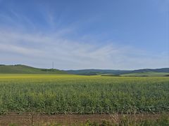 -室韦口岸