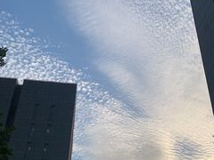 -果之满满鲜榨果汁(科技产业大厦店)