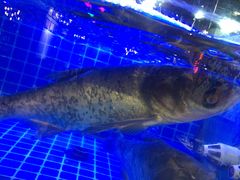 -蛙一刀·麻椒鱼火锅(金仙桥店)
