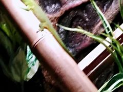 -欧亚汇集(飞跃路店)