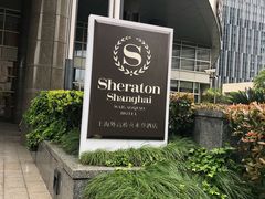 -上海外高桥喜来登酒店-停车场