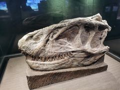 -自贡恐龙博物馆