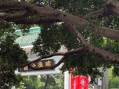-晓港公园