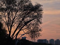 -天鹅湖体育公园