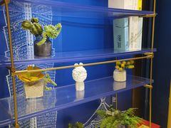 -柏乐口腔医院·舒适化无痛种植牙中心(东盟商务区院)