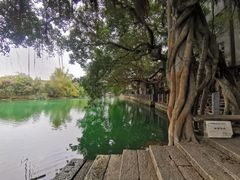 -小洲村